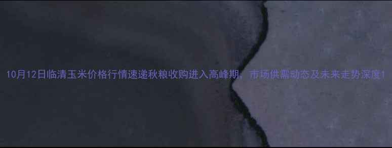 图片 10月12日临清玉米价格行情速递秋粮收购进入高峰期，市场供需动态及未来走势深度1