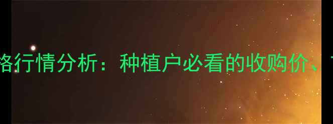 图片 10月东北玉米最新价格行情分析：种植户必看的收购价、市场趋势与政策解读1