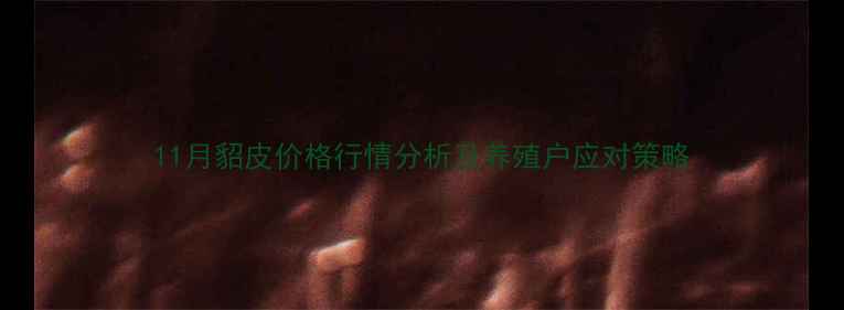 图片 11月貂皮价格行情分析及养殖户应对策略