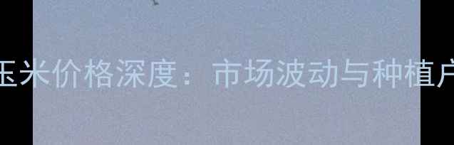 图片 12月辉南玉米价格深度：市场波动与种植户应对策略