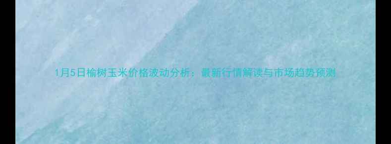 图片 1月5日榆树玉米价格波动分析：最新行情解读与市场趋势预测