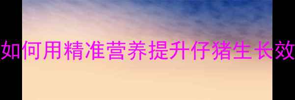 图片 551小猪饲料科学配方：如何用精准营养提升仔猪生长效率（附成本效益分析）1
