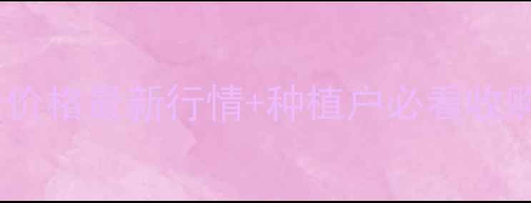 图片 7月大名县五得利小麦价格最新行情+种植户必看收购指南（附详细数据）