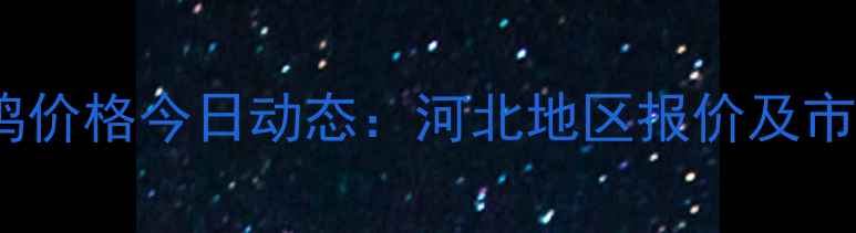 图片 817毛鸡价格今日动态：河北地区报价及市场分析
