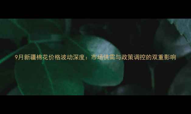 图片 9月新疆棉花价格波动深度：市场供需与政策调控的双重影响