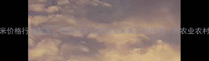 图片 9月阜阳玉米价格行情深度：收购价波动原因及未来走势预测（附农业农村局数据）2