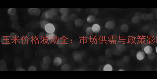 图片 CFT12月17日玉米价格波动全：市场供需与政策影响深度分析2