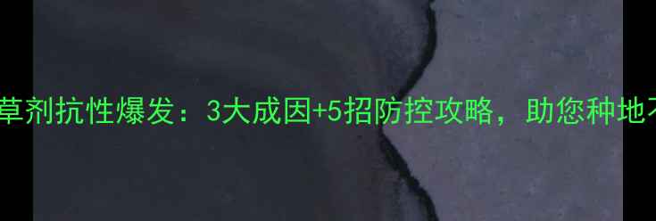 图片 HPPD除草剂抗性爆发：3大成因+5招防控攻略，助您种地不再愁1