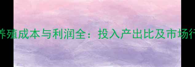 图片 下蛋鸡养殖成本与利润全：投入产出比及市场行情分析