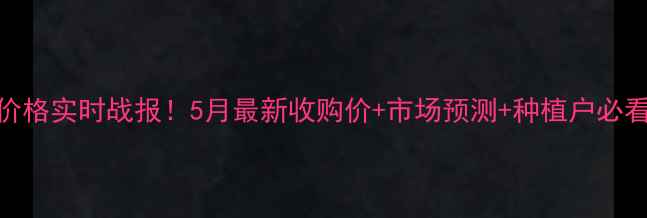 图片 东北玉米价格实时战报！5月最新收购价+市场预测+种植户必看避坑指南