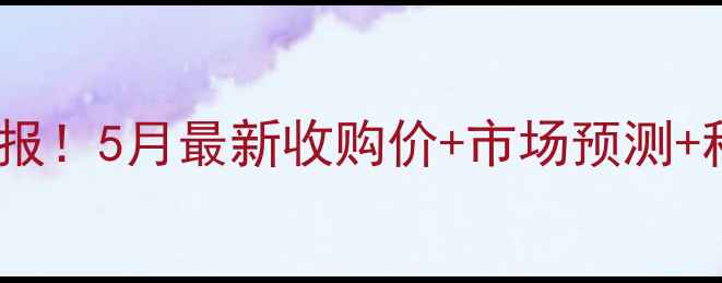 图片 东北玉米价格实时战报！5月最新收购价+市场预测+种植户必看避坑指南2