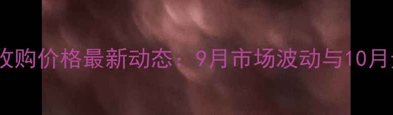 图片 东北玉米收购价格最新动态：9月市场波动与10月走势预测2