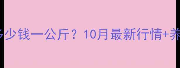 图片 临沂肉毛鸡价格今日多少钱一公斤？10月最新行情+养殖户避坑指南！🔥🐔2