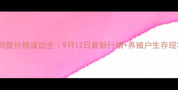 图片 主吉首鸡蛋价格波动全｜9月12日最新行情+养殖户生存现状调查1