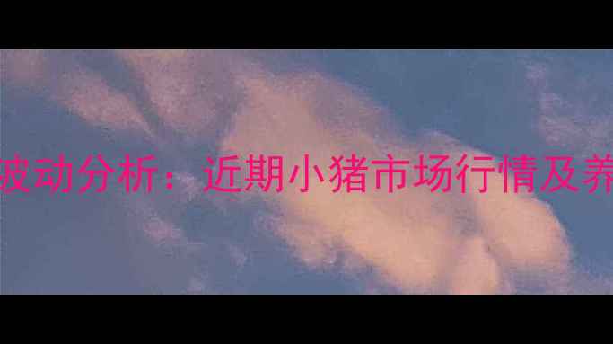 图片 云南生猪价格波动分析：近期小猪市场行情及养殖户应对策略