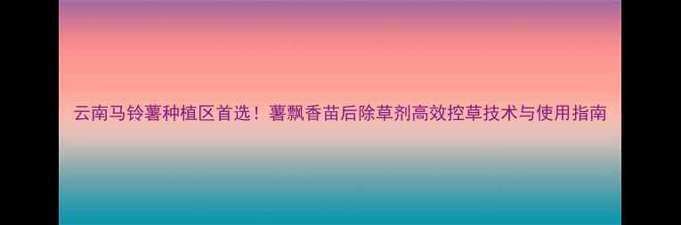 图片 云南马铃薯种植区首选！薯飘香苗后除草剂高效控草技术与使用指南