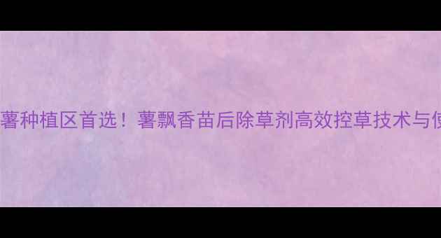 图片 云南马铃薯种植区首选！薯飘香苗后除草剂高效控草技术与使用指南2