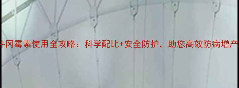 图片 井冈霉素使用全攻略：科学配比+安全防护，助您高效防病增产2