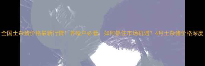 图片 全国土杂猪价格最新行情！养殖户必看：如何抓住市场机遇？4月土杂猪价格深度