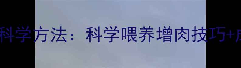 图片 养牛加饲料的科学方法：科学喂养增肉技巧+成本控制指南2