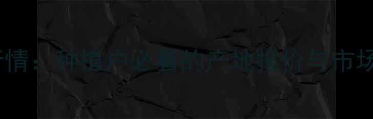 图片 内蒙古菜籽价格最新行情：种植户必看的产地报价与市场分析（附种植建议）2