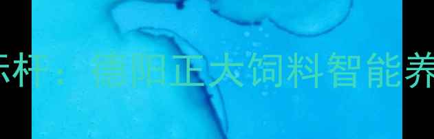 图片 农业科技新标杆：德阳正大饲料智能养殖系统升级1