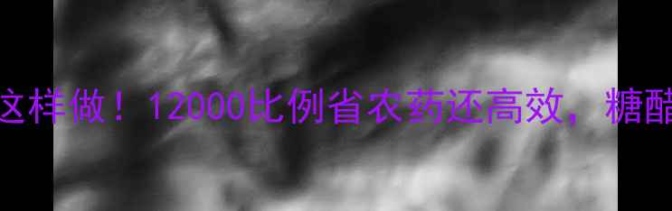 图片 农药糖诱杀法这样做！12000比例省农药还高效，糖醋液比例表速存
