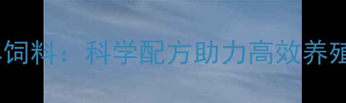 图片 北京中农大牛羊饲料：科学配方助力高效养殖的产业新标杆2