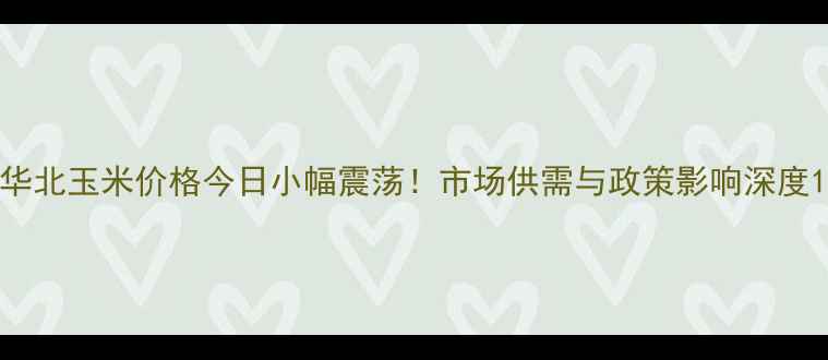 图片 华北玉米价格今日小幅震荡！市场供需与政策影响深度1