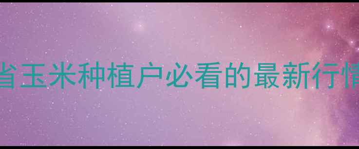 图片 吉林玉米价格波动全！吉林省玉米种植户必看的最新行情与种植建议（附实时数据）