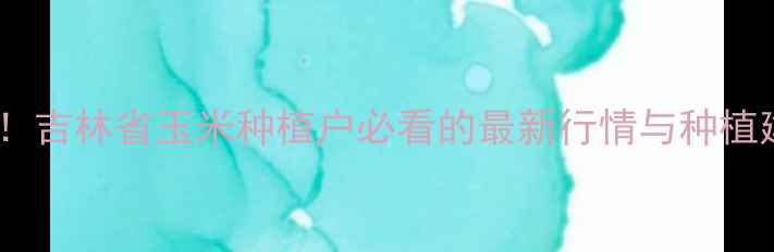 图片 吉林玉米价格波动全！吉林省玉米种植户必看的最新行情与种植建议（附实时数据）2