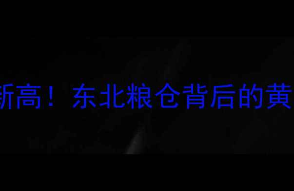 图片 吉林省饲料产量创新高！东北粮仓背后的黄金产业链深度🐔💪2