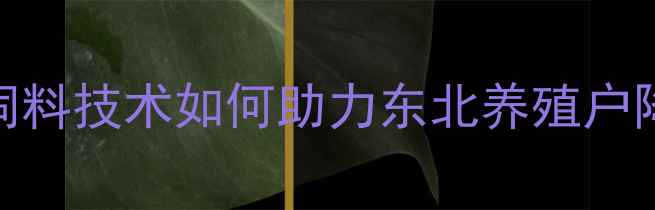 图片 哈尔滨中升饲料：生物发酵饲料技术如何助力东北养殖户降本增效？养殖效益提升指南