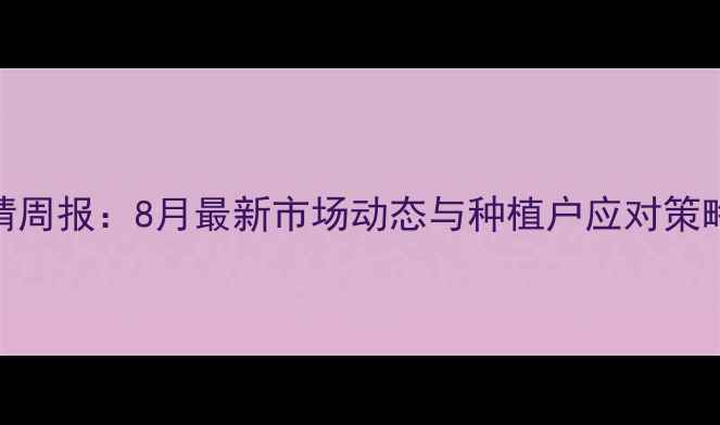图片 商河县玉米价格行情周报：8月最新市场动态与种植户应对策略（附价格走势图）