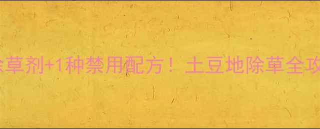 图片 土豆种植必看4种高效除草剂+1种禁用配方！土豆地除草全攻略（附安全使用指南）