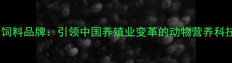 图片 大北农饲料品牌：引领中国养殖业变革的动物营养科技先锋2