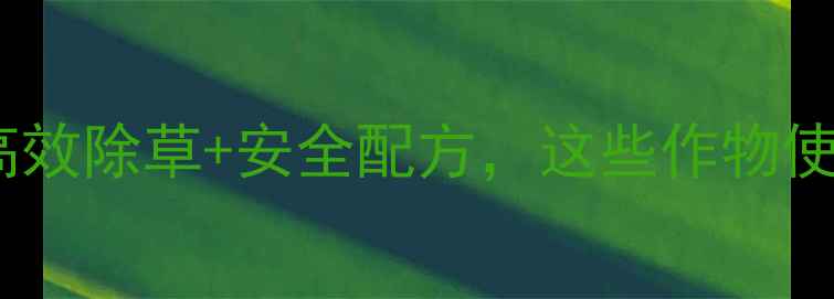 图片 大连松辽福分除草剂最新升级：高效除草+安全配方，这些作物使用效果显著提升（附使用指南）1