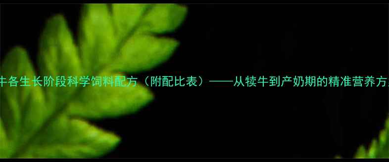 图片 奶牛各生长阶段科学饲料配方（附配比表）——从犊牛到产奶期的精准营养方案1