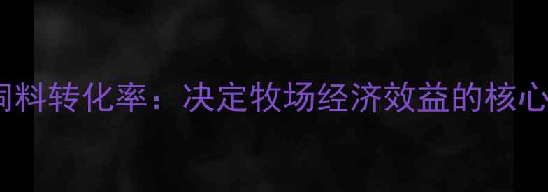 图片 奶牛饲料转化率：决定牧场经济效益的核心指标1
