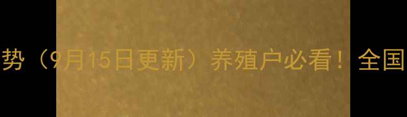 图片 安丘生猪市场最新价格走势（9月15日更新）养殖户必看！全国生猪价格+区域行情深度1