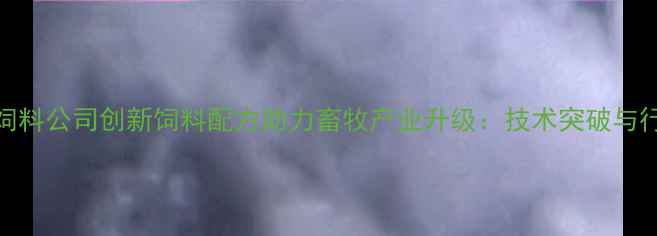 图片 安丘超大饲料公司创新饲料配方助力畜牧产业升级：技术突破与行业应用全