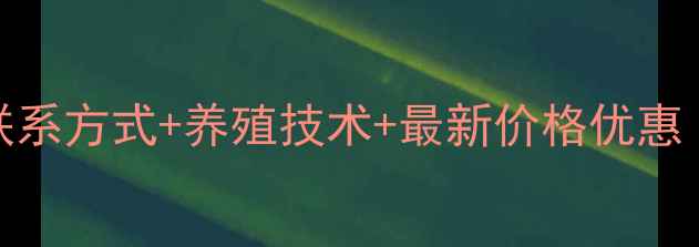 图片 安佑饲料官方联系方式+养殖技术+最新价格优惠（附官网入口）