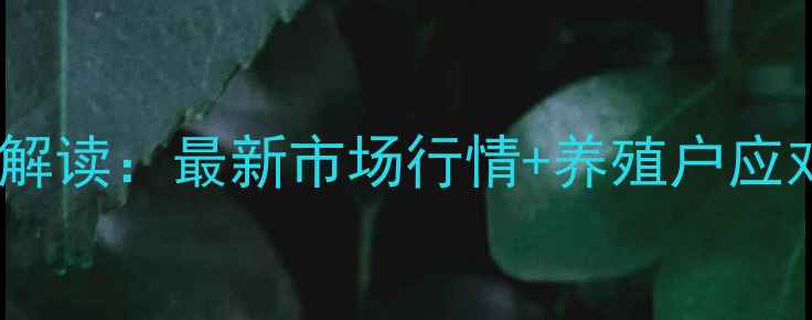 图片 安庆今日肥猪价格波动解读：最新市场行情+养殖户应对策略（附数据图表）2