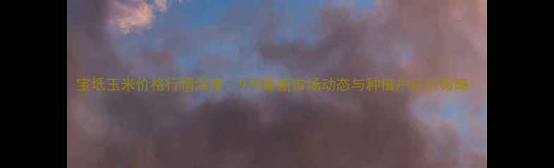 图片 宝坻玉米价格行情深度：9月最新市场动态与种植户应对策略1