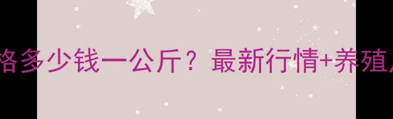 图片 实时更新河南鸡蛋价格多少钱一公斤？最新行情+养殖户采访+消费趋势全！