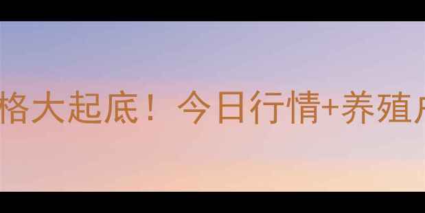 图片 实时更新河南鸡蛋价格大起底！今日行情+养殖户采访+价格走势全🥚
