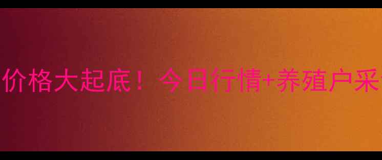 图片 实时更新河南鸡蛋价格大起底！今日行情+养殖户采访+价格走势全🥚1