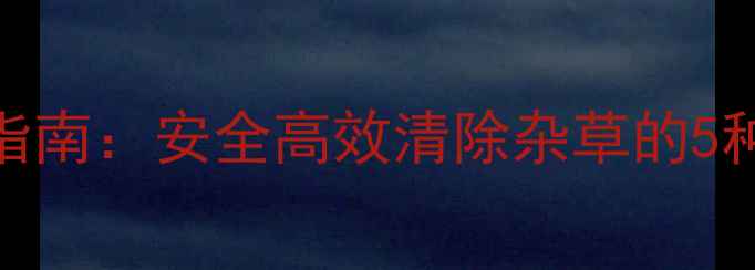 图片 小蒜除草剂选择指南：安全高效清除杂草的5种方法及使用技巧