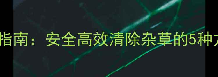 图片 小蒜除草剂选择指南：安全高效清除杂草的5种方法及使用技巧2