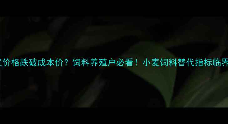 图片 小麦价格跌破成本价？饲料养殖户必看！小麦饲料替代指标临界点2
